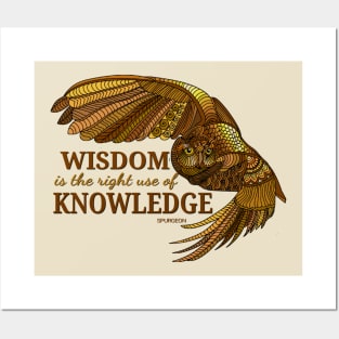 Wisdom Owl Posters and Art